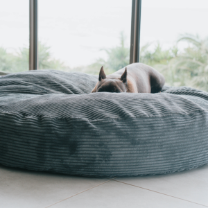 Large Dog Beds - 100cm
